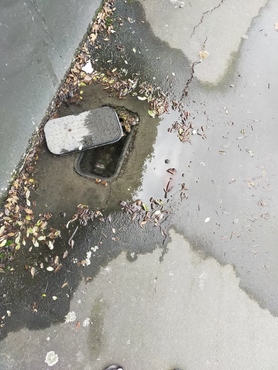 The photograph attached to this water leak report