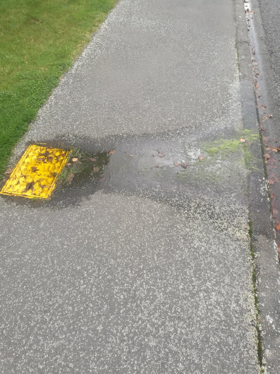 The photograph attached to this water leak report