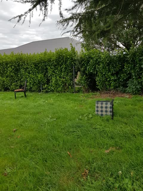 Rubbish/Recycling — a report photo
