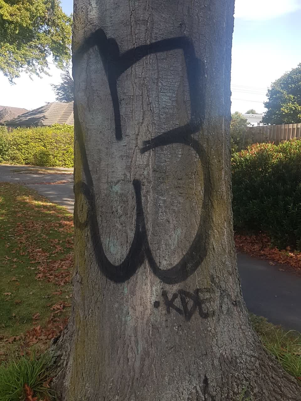The photograph attached to this graffiti report