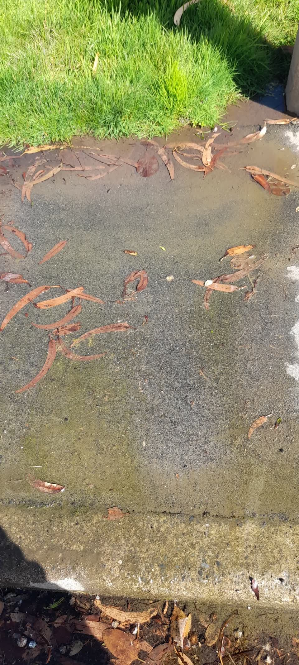 The photograph attached to this water leak report