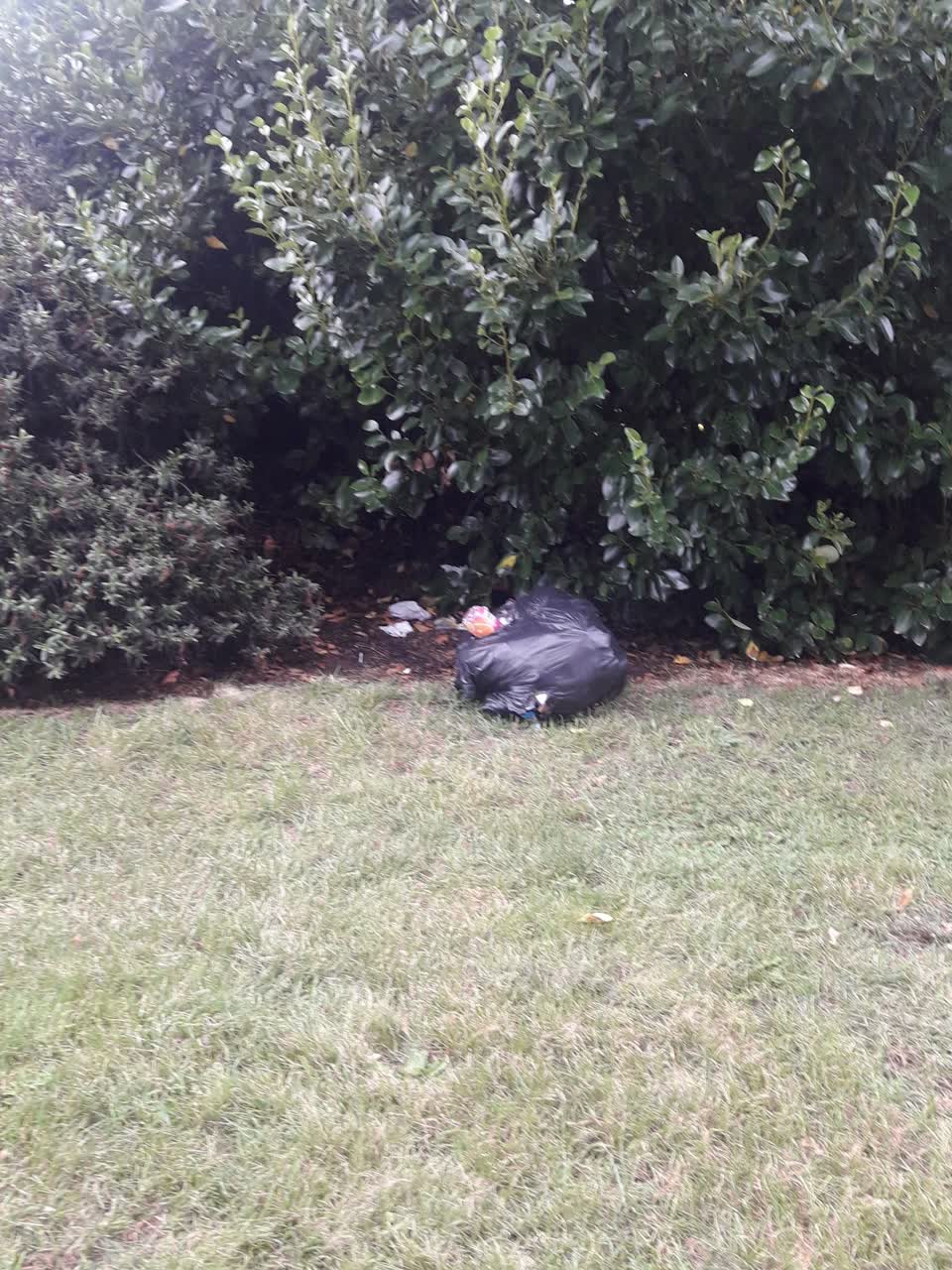 The photograph attached to this parks report