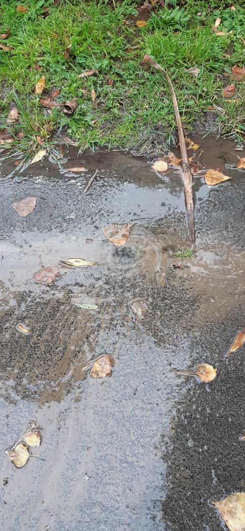 Wastewater/Stormwater, a report photo