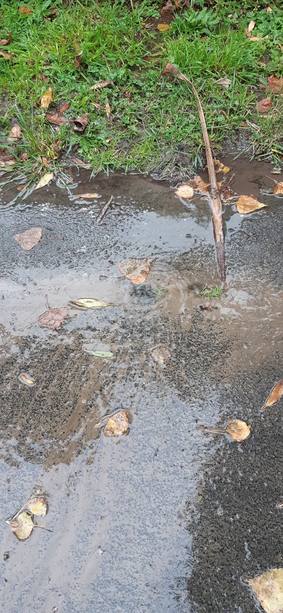 The photograph attached to this wastewater/stormwater report