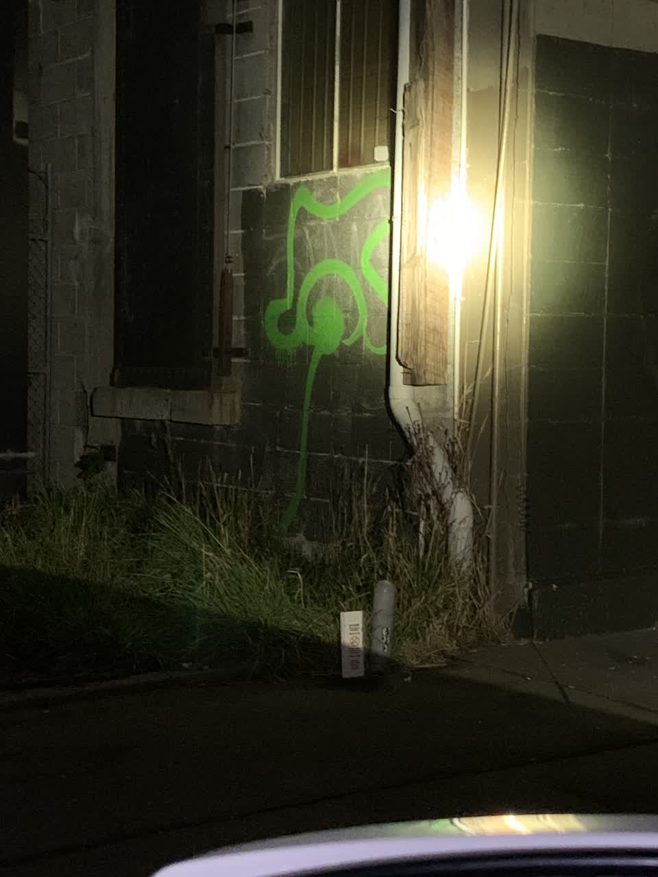 The photograph attached to this graffiti report