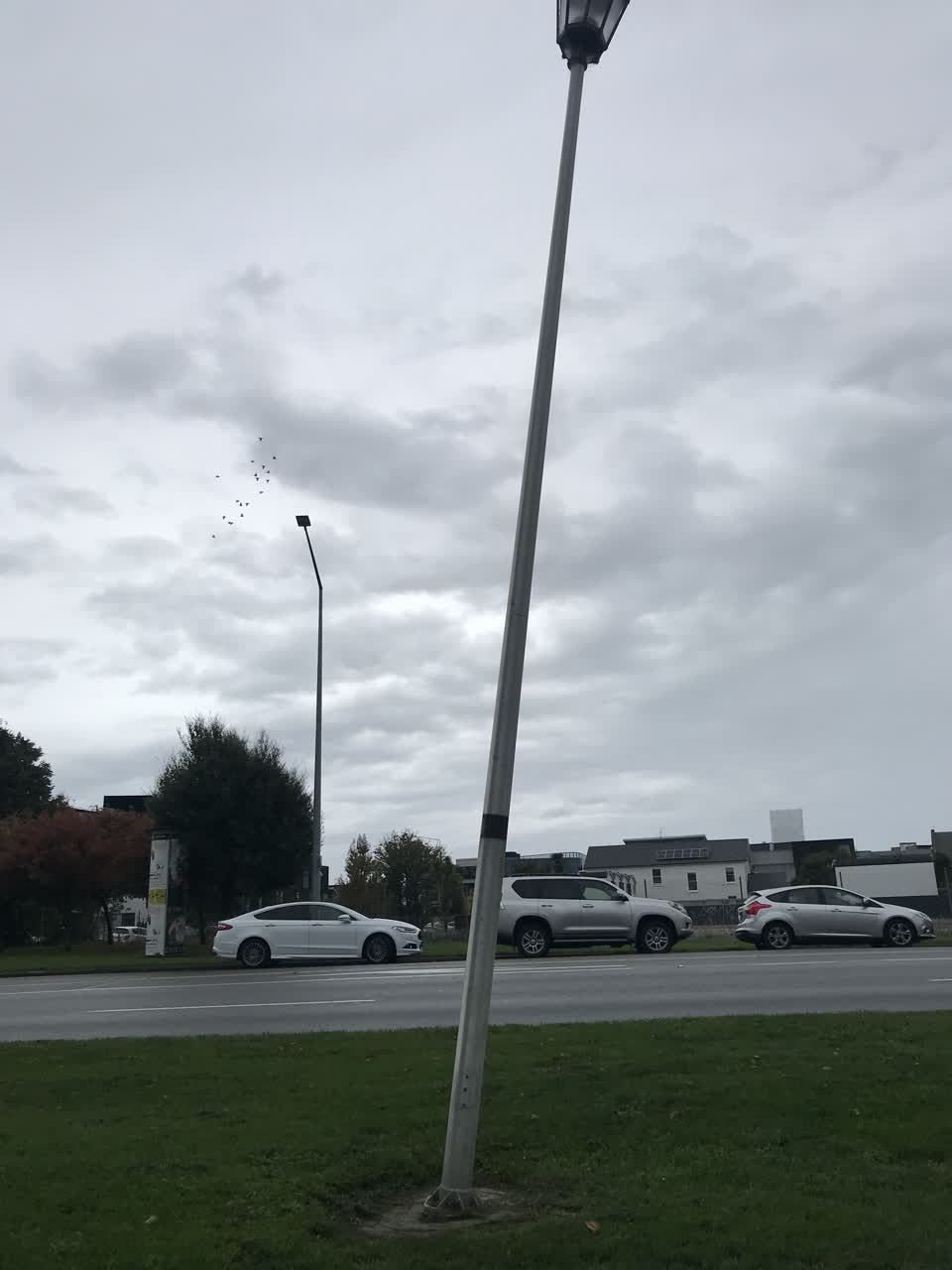 The photograph attached to this street light outage report