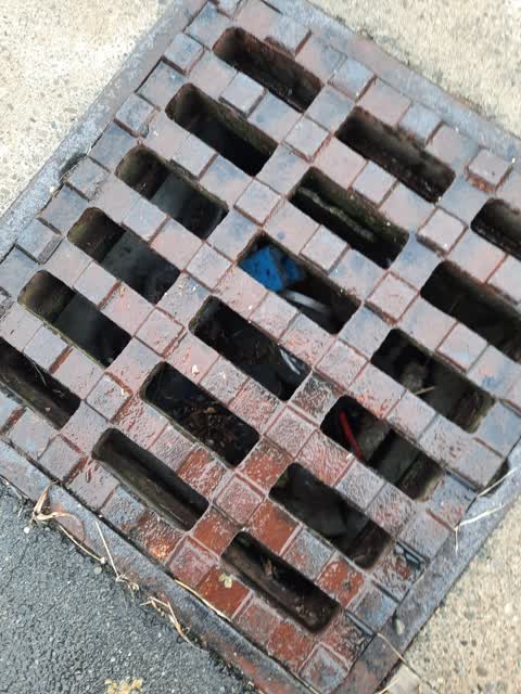 Sewer - General, a report photo