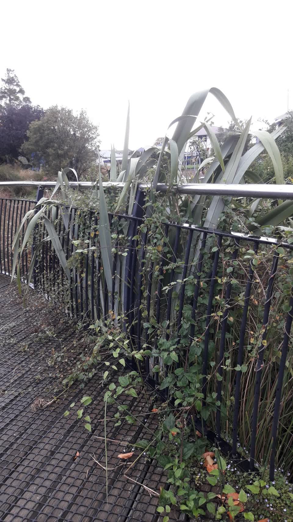 The photograph attached to this parks report