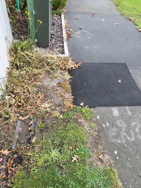 Water Leak, a report photo