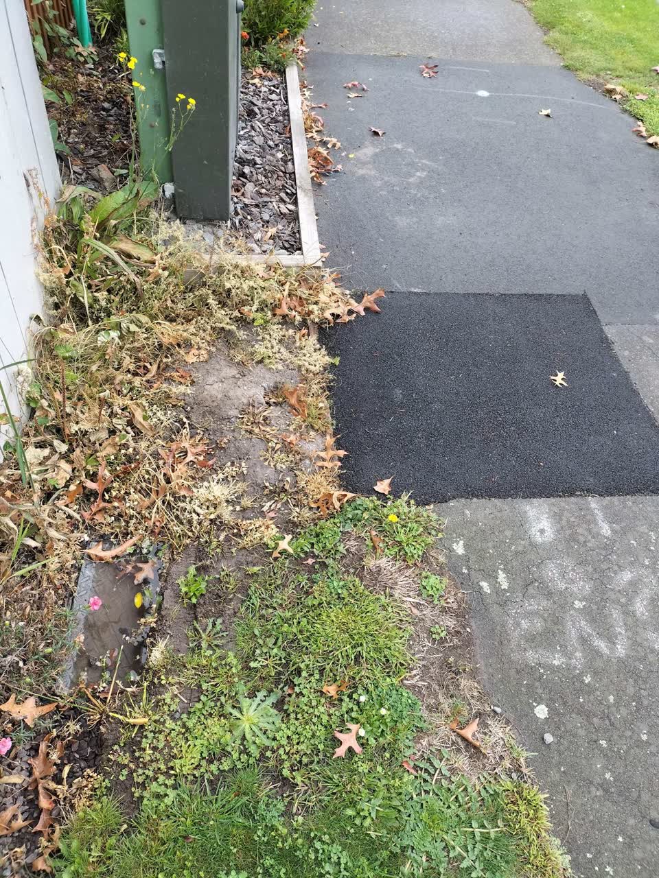 The photograph attached to this water leak report