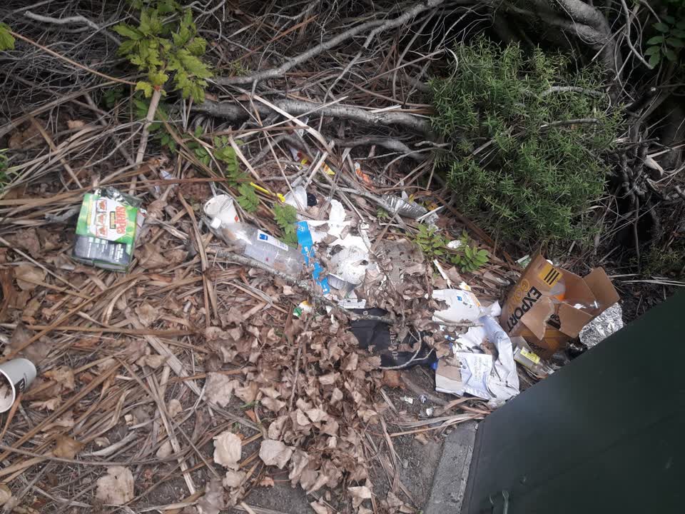 The photograph attached to this parks report