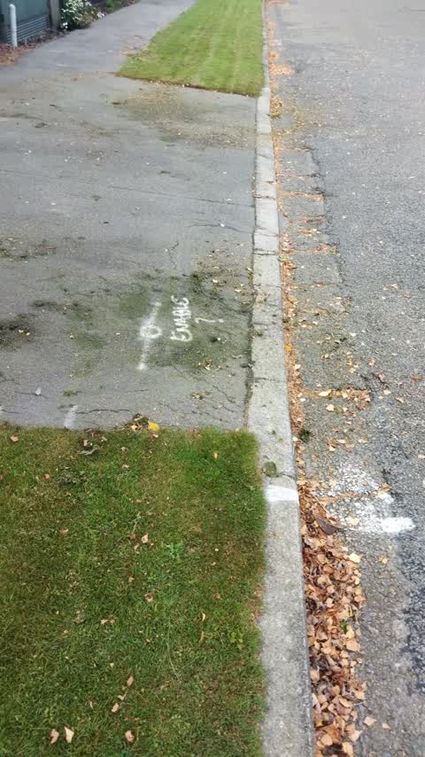 Roading/Streets, a report photo