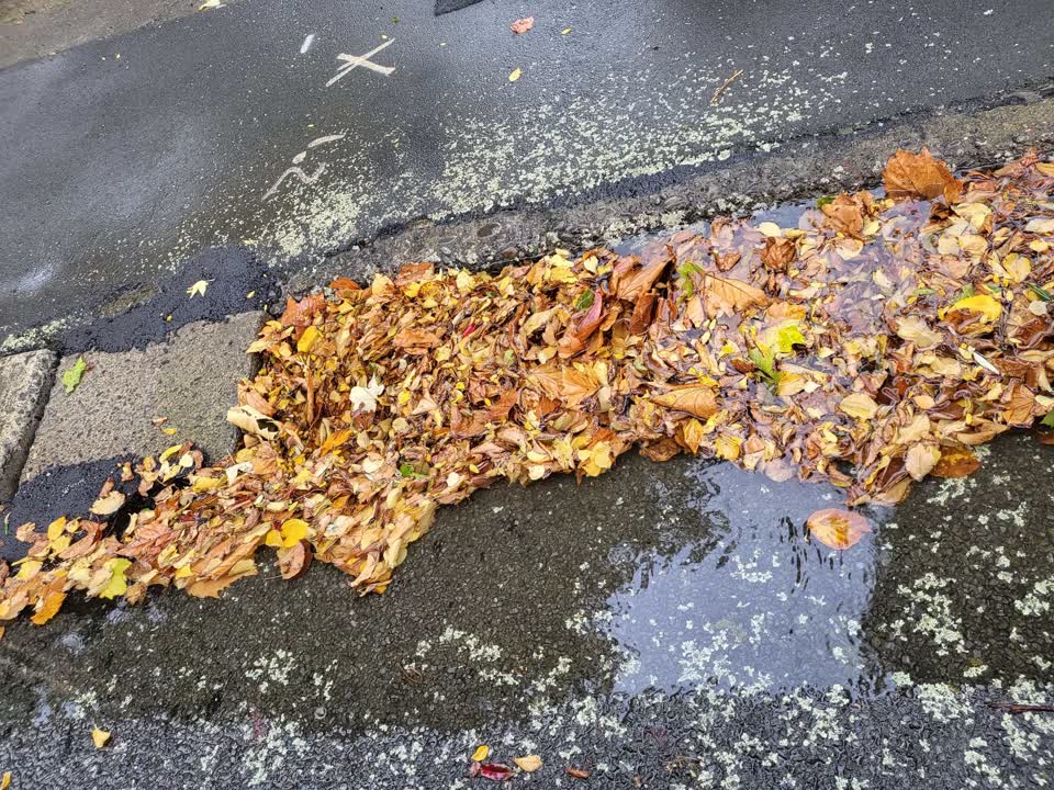 The photograph attached to this flooding report
