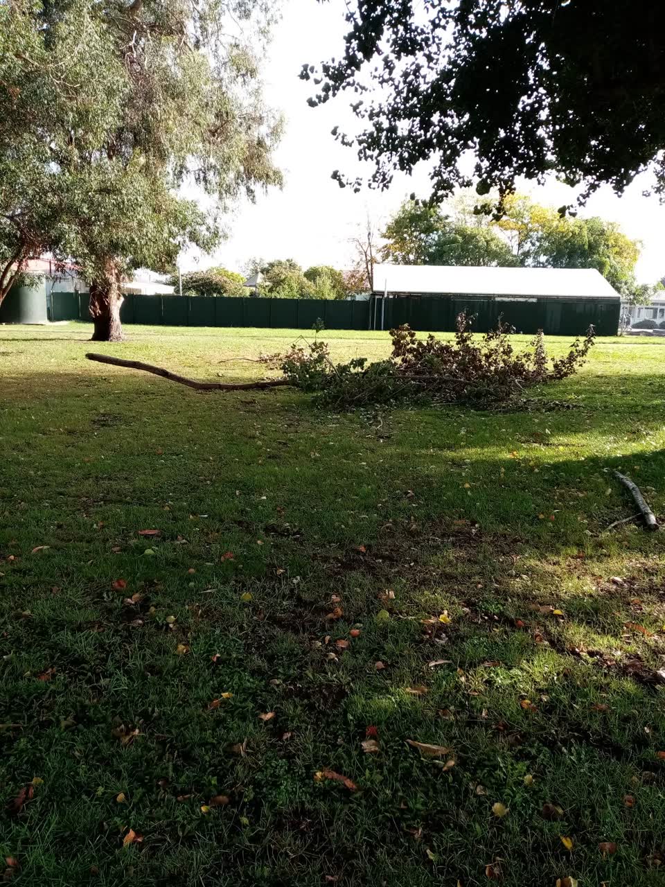 The photograph attached to this parks report