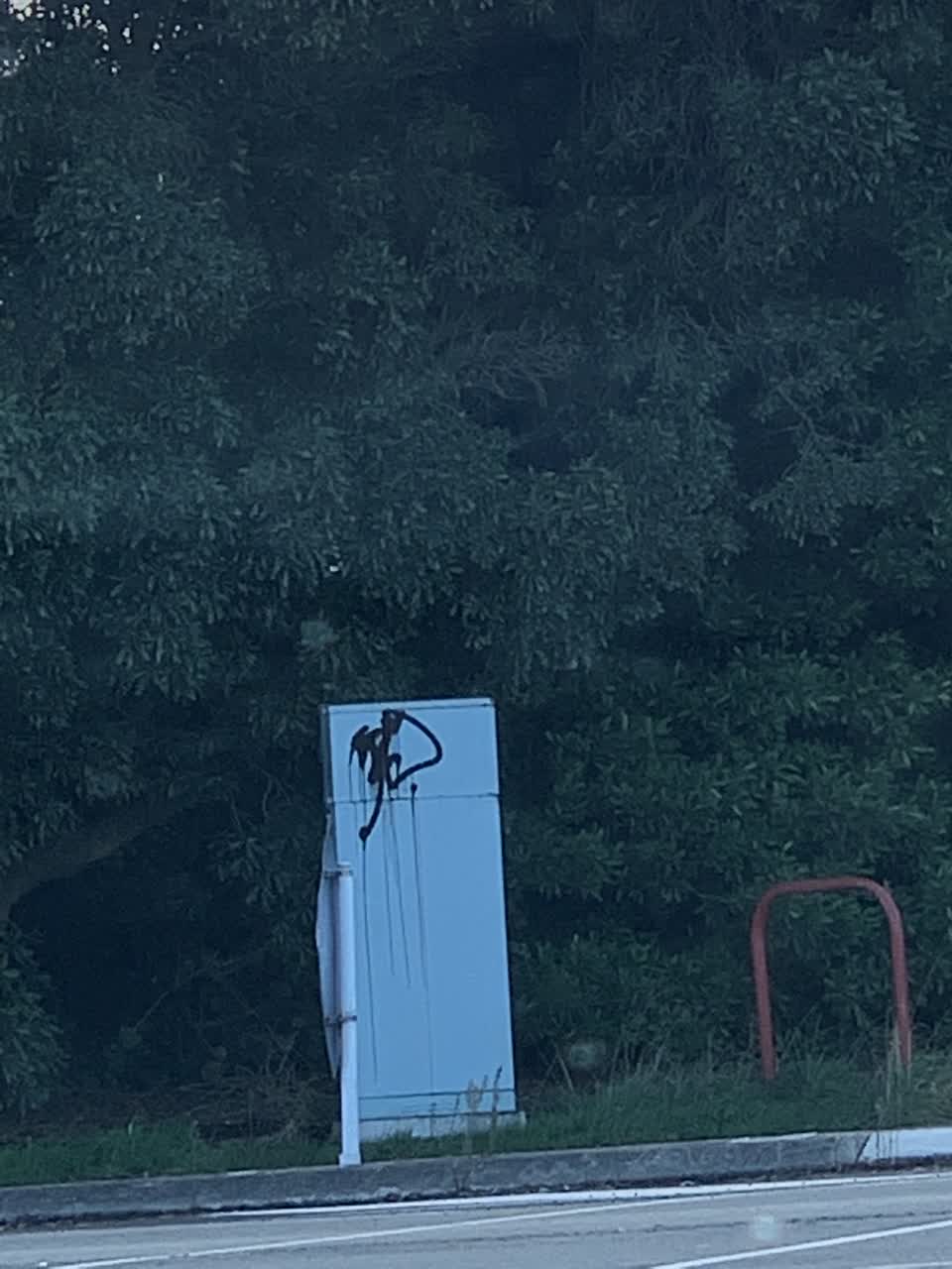 The photograph attached to this graffiti report