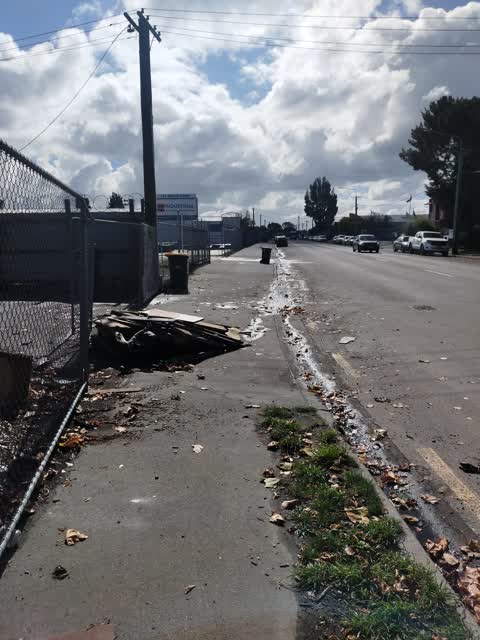 Roading/Streets, a report photo