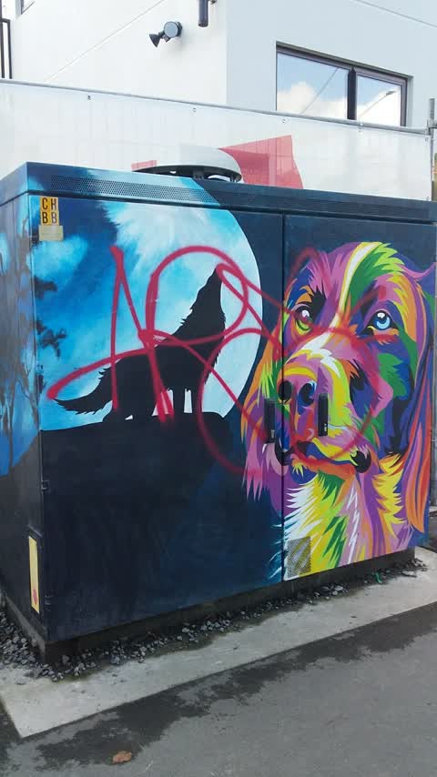 Graffiti, a report photo
