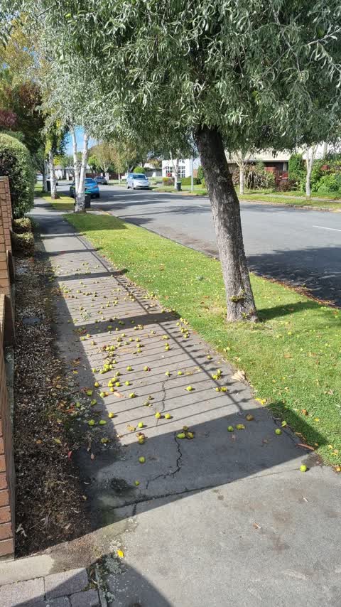 Roading/Streets — a report photo