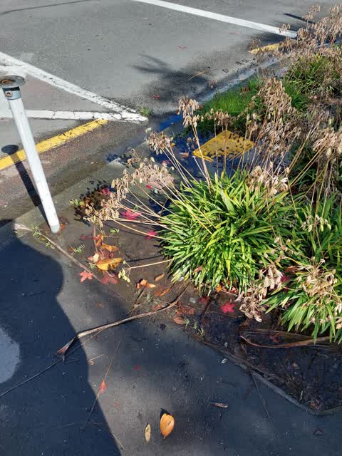 Water Leak, a report photo