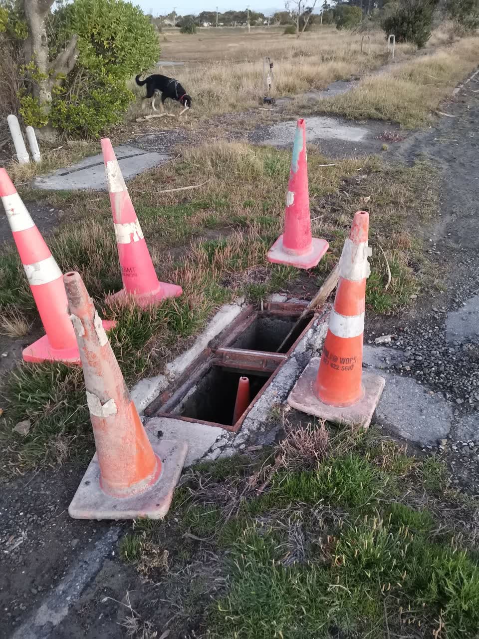 The photograph attached to this parks report