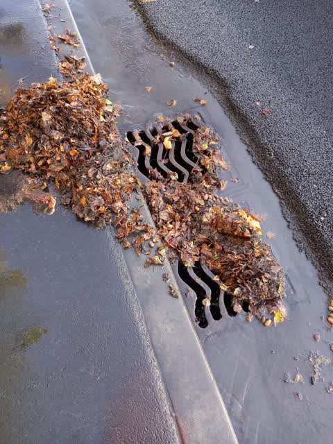 Roading/Streets — a report photo