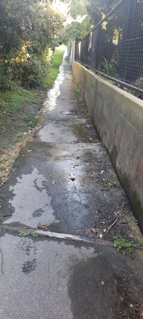 Water Leak, a report photo