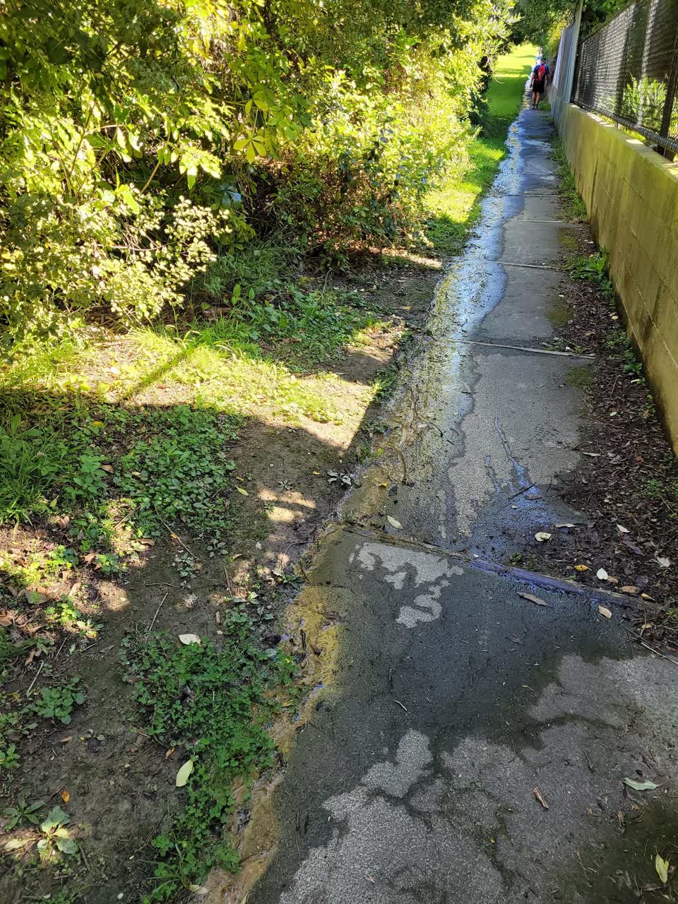 The photograph attached to this water leak report