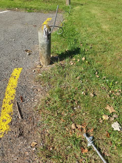 Parks — a report photo