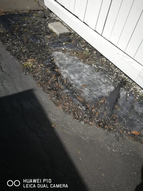 Roading/Streets, a report photo