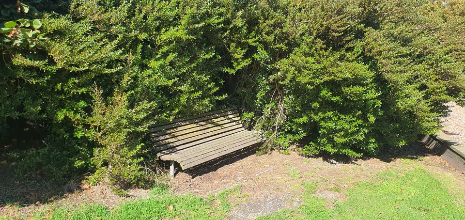 The photograph attached to this parks report