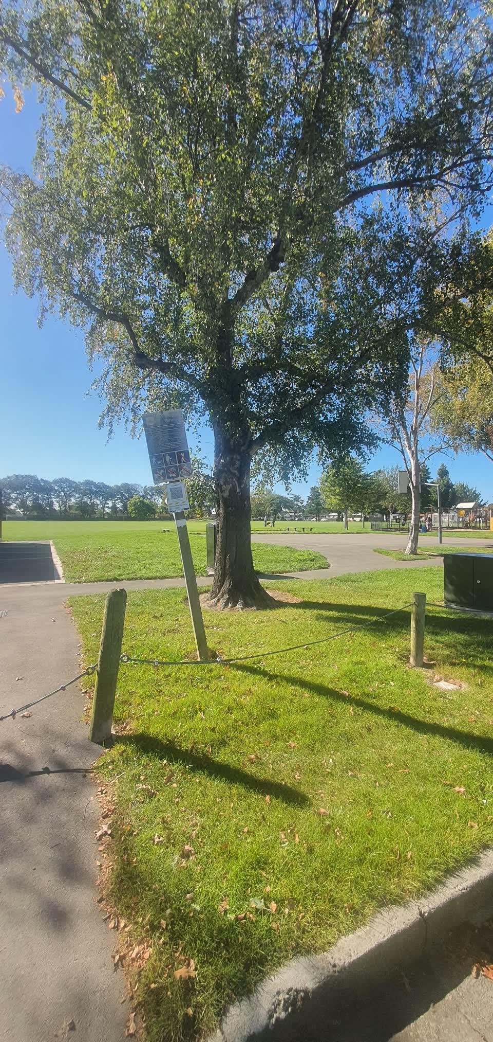 The photograph attached to this parks report