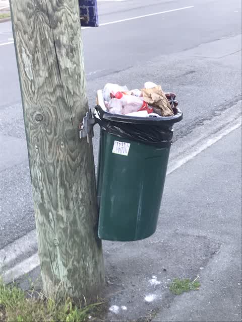 Rubbish/Recycling, a report photo