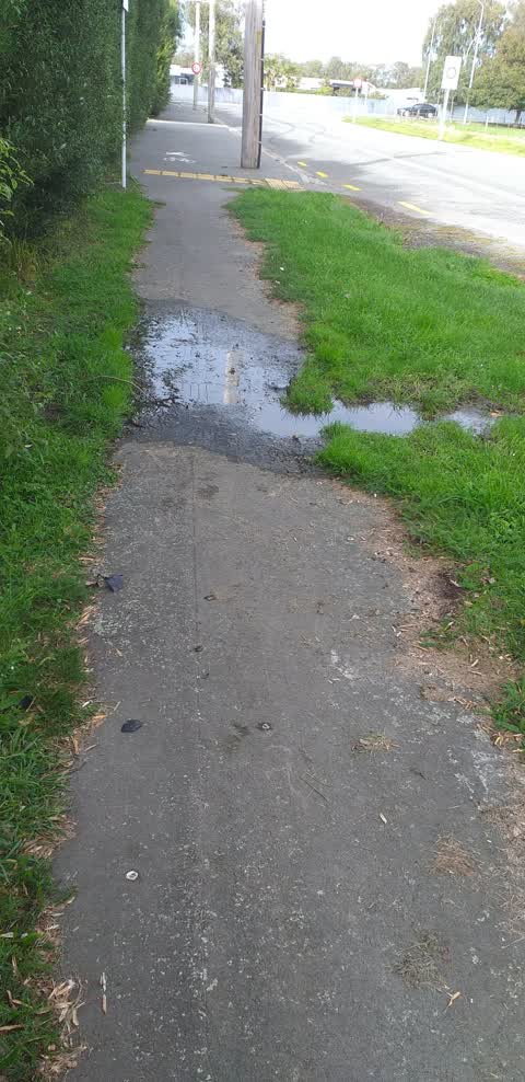 Water Leak, a report photo