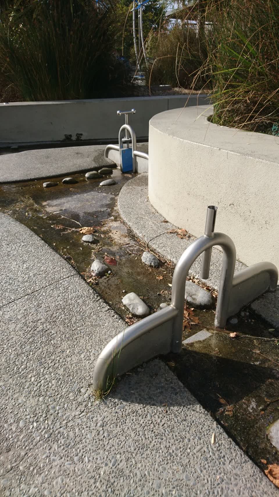 The photograph attached to this parks report