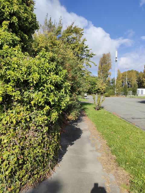 Roading/Streets, a report photo