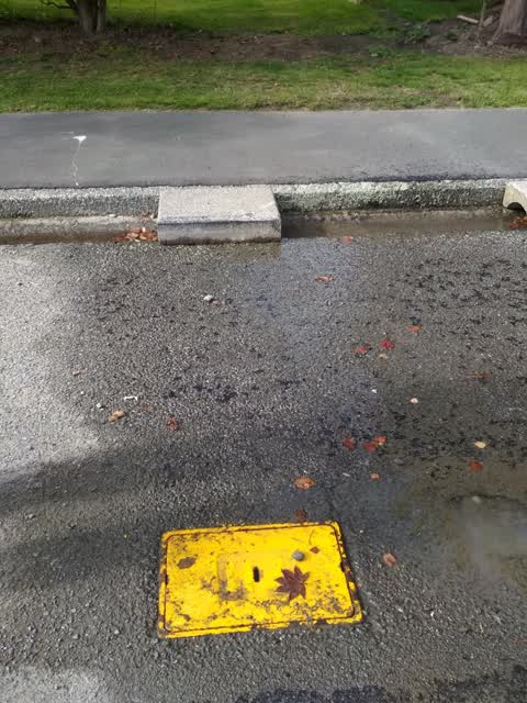 Water Leak, a report photo