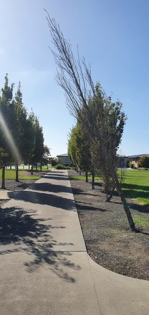 Parks, a report photo