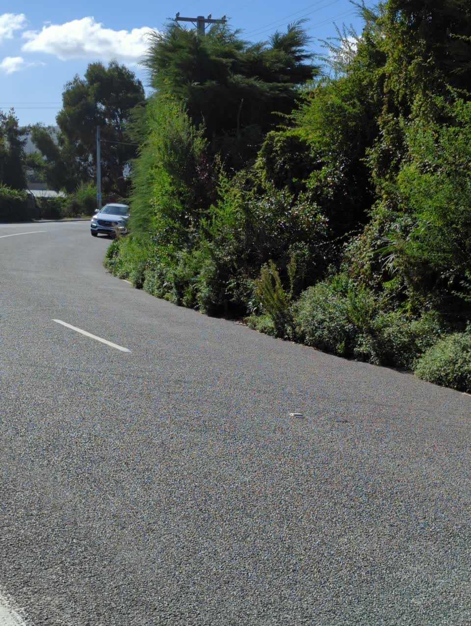 The photograph attached to this roading/streets report