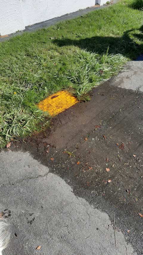 Water Leak, a report photo