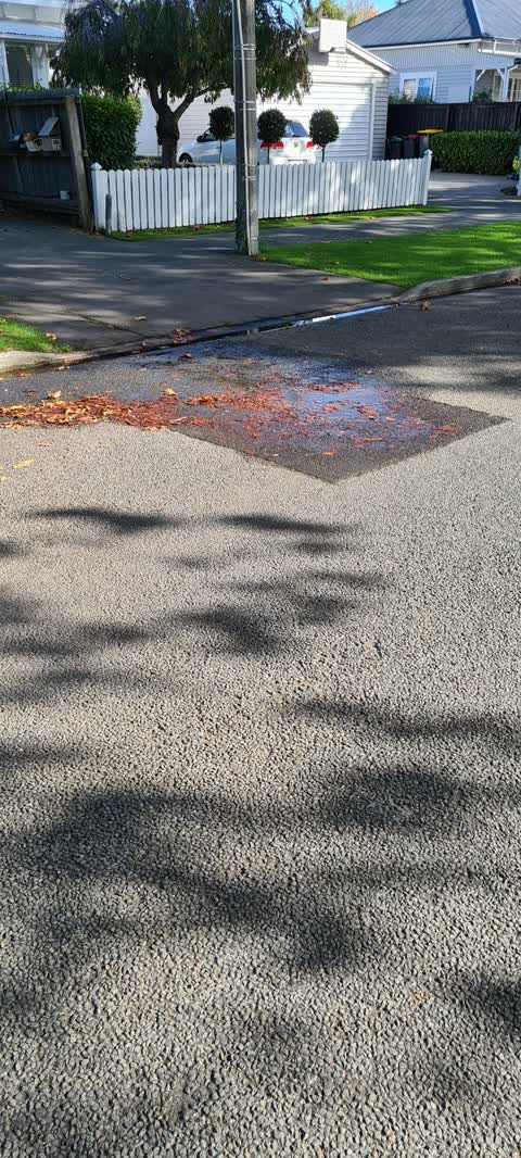 Water Leak, a report photo