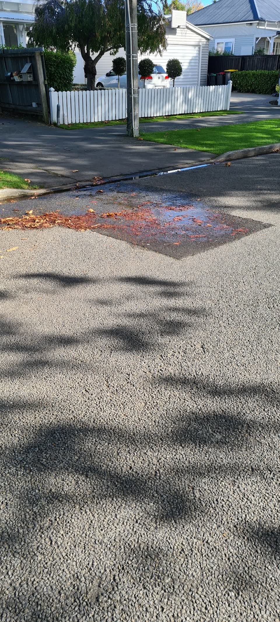 The photograph attached to this water leak report