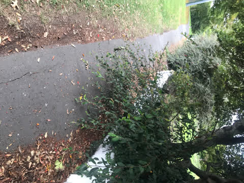 Roading/Streets, a report photo
