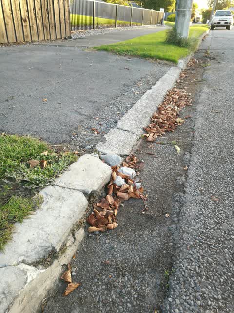 Roading/Streets, a report photo