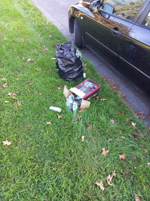 Rubbish/Recycling, a report photo
