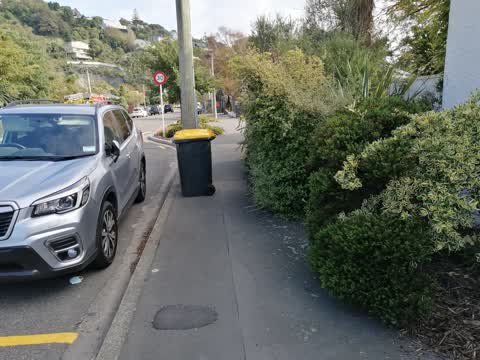 Roading/Streets, a report photo