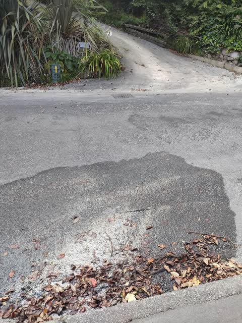 Water Leak, a report photo