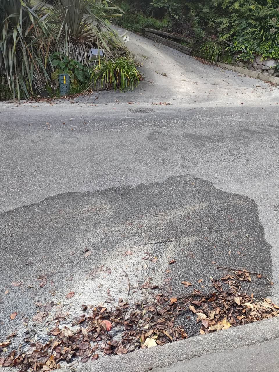 The photograph attached to this water leak report