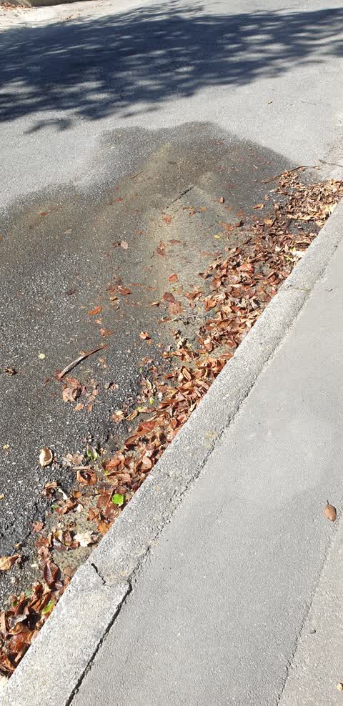 Water Leak, a report photo