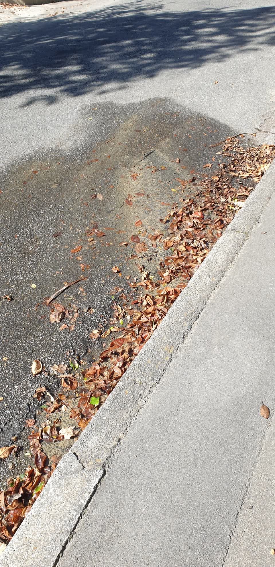 The photograph attached to this water leak report