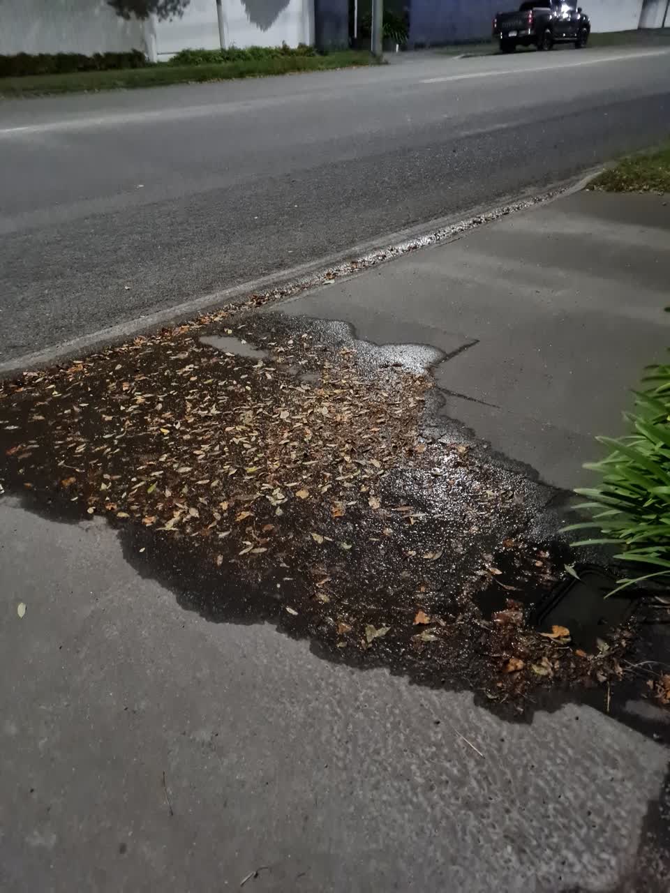 The photograph attached to this water leak report